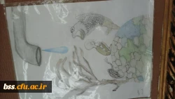 برگزاری مسابقات  هفته آموزش 6