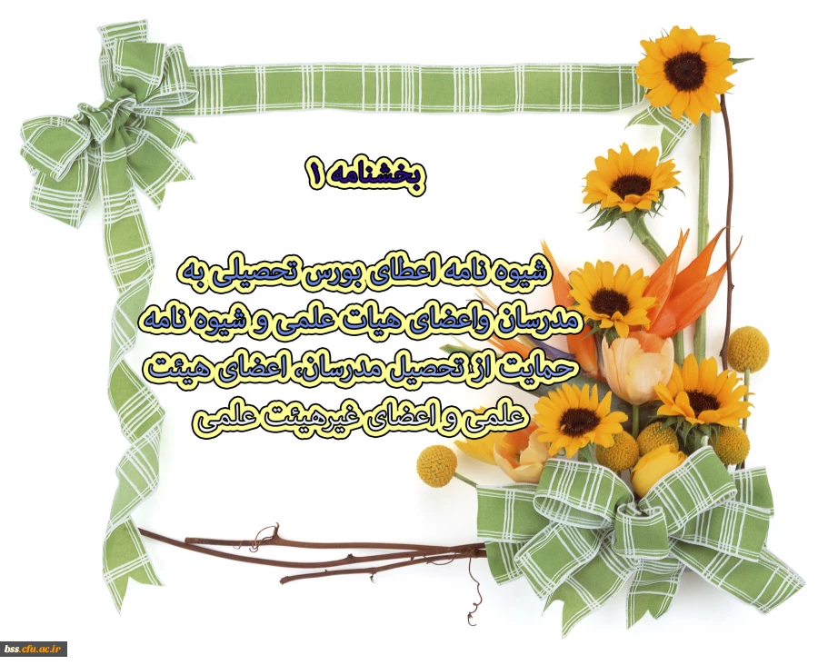 شیوه نامه اعطای بورس تحصیلی به مدرسان واعضای هیات علمی وشیوه نامه حمایت ازتحصیل مدرسان ، اعضای هیئت علمی واعضای غیرهیئت علمی