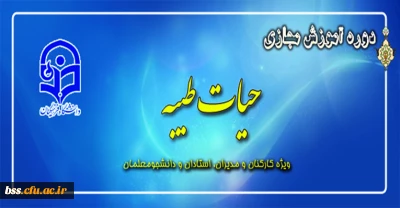 طرح معرفتی حیات طیبه مجازی آغاز شد