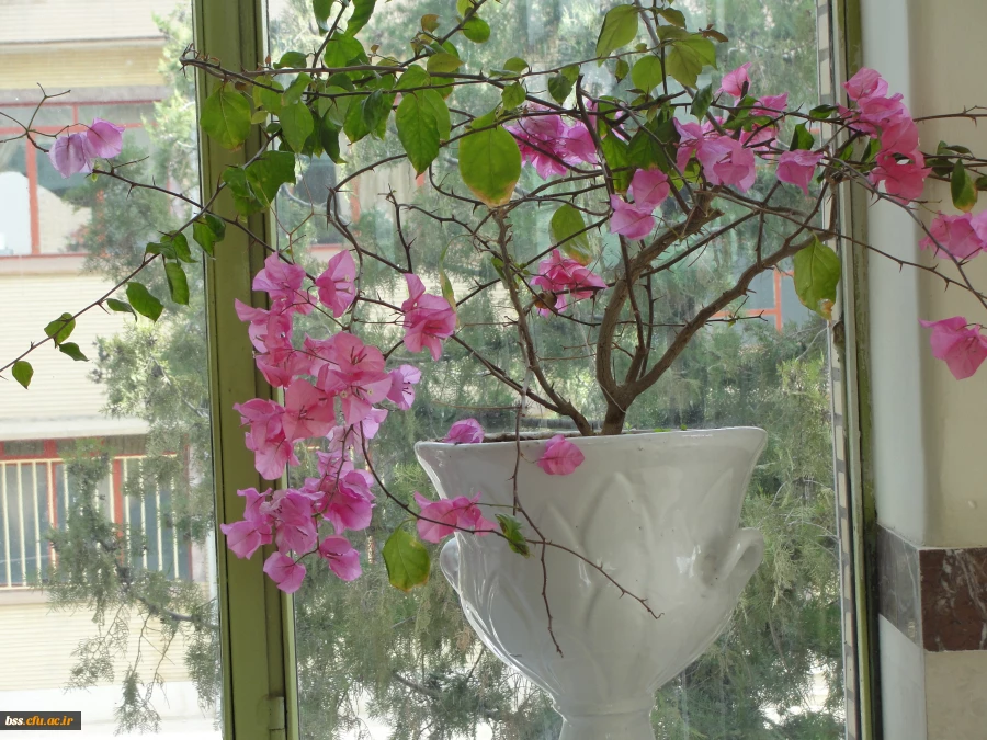 گالری گلهای پردیس