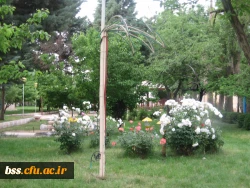 فضای سبز پردیس