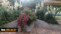 گالری گلهای پردیس