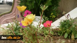 گالری گلهای پردیس