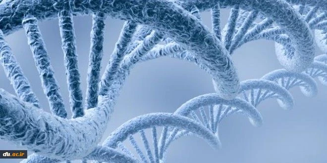 اطلاعیه جدید  ثبت نام کارگاه آموزش علوم( مدرسه تابستانی)