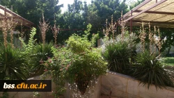 فضای سبز پردیس