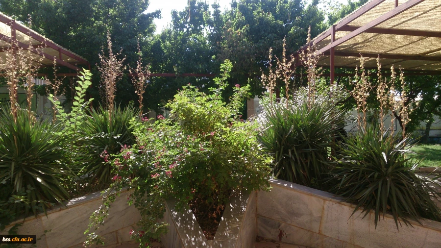 فضای سبز پردیس