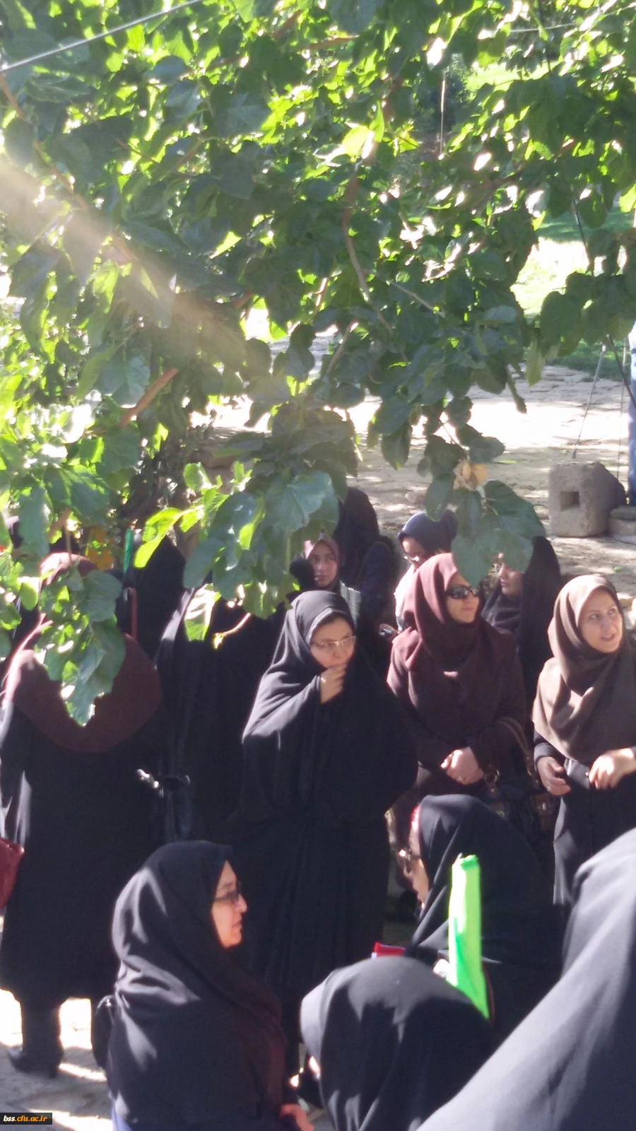 کوه پیمایی به مناسبت هفته دفاع مقدس 5