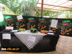 برپایی ایستگاه صلواتی بمناسبت ماه محرم 5