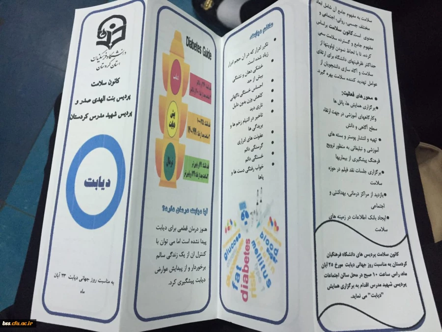 همایش دیابت به مناسبت روز جهانی دیابت برگزار شد. 3