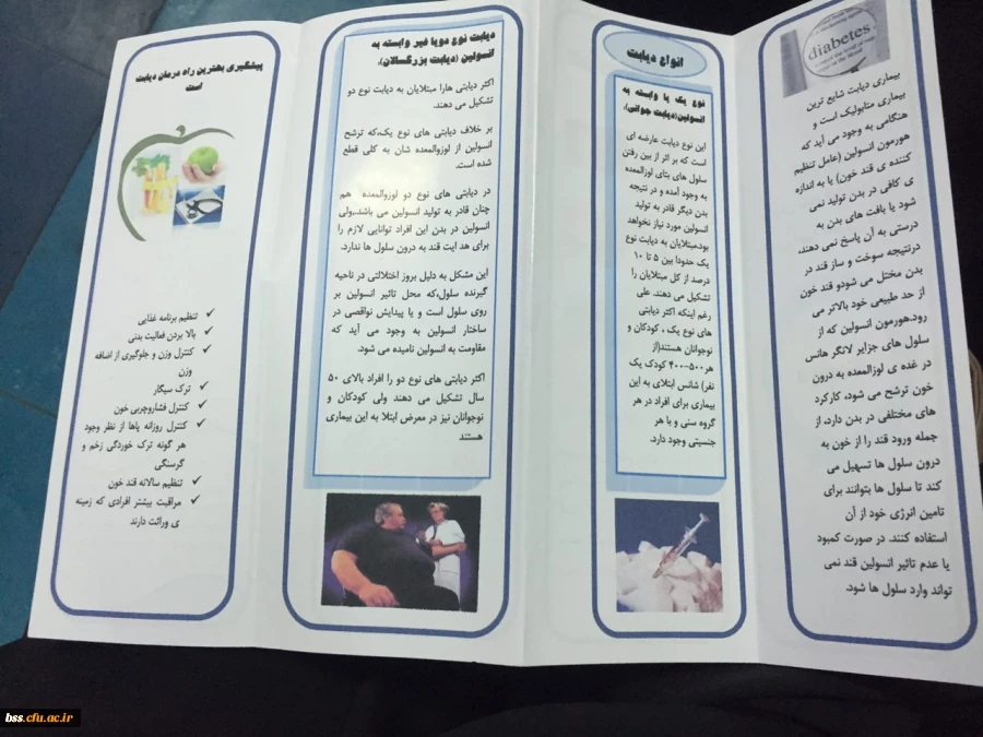 همایش دیابت به مناسبت روز جهانی دیابت برگزار شد. 4