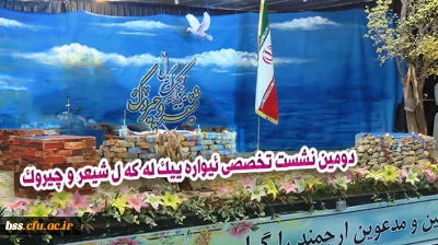 دومین نشست تخصصی 