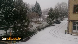 منظره زمستان