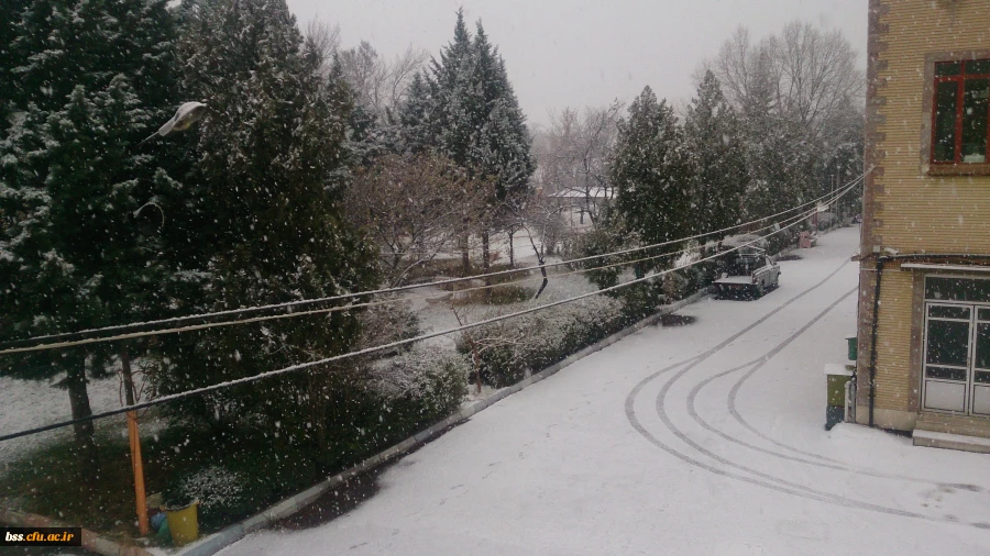 منظره زمستان