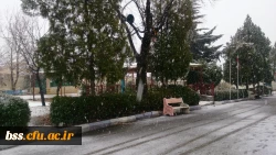 زمستان پردیس