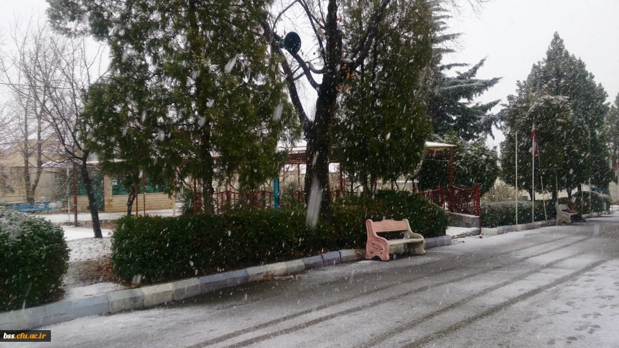 زمستان پردیس