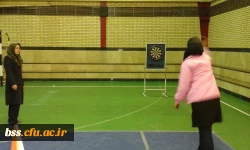 برپایی مسابقات دارت و بولینگ  
به مناسبت گرامیداشت سال روز پیروزی انقلاب اسلامی 2