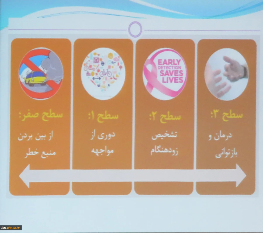 شرکت دانشجو معلمان در همایش سفیران سلامت به میزبانی دانشگاه کردستان  3