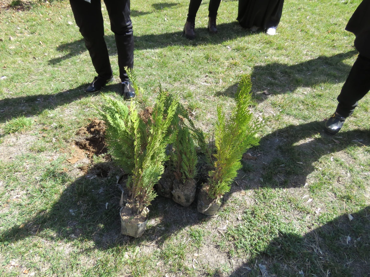 به همت کانون سلامت برگزار شد:
کاشت نهال به مناسبت نکوداشت هفته منابع طبیعی و روز درخت کاری 2