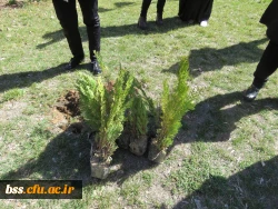 به همت کانون سلامت برگزار شد:
کاشت نهال به مناسبت نکوداشت هفته منابع طبیعی و روز درخت کاری 2