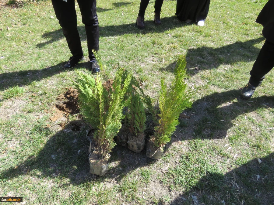 به همت کانون سلامت برگزار شد:
کاشت نهال به مناسبت نکوداشت هفته منابع طبیعی و روز درخت کاری 2