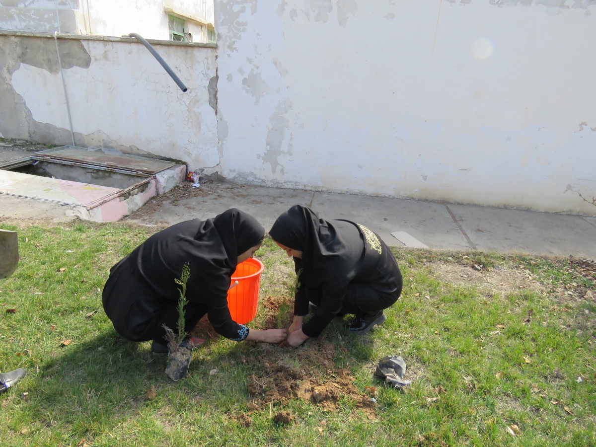 به همت کانون سلامت برگزار شد:
کاشت نهال به مناسبت نکوداشت هفته منابع طبیعی و روز درخت کاری 3