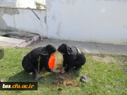 به همت کانون سلامت برگزار شد:
کاشت نهال به مناسبت نکوداشت هفته منابع طبیعی و روز درخت کاری 3