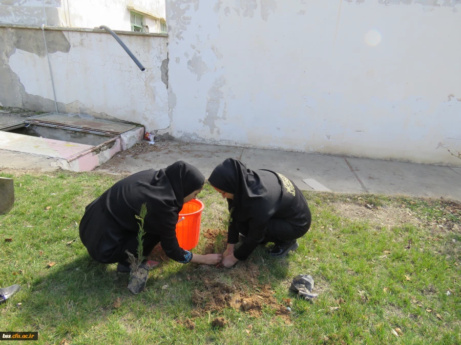 به همت کانون سلامت برگزار شد:
کاشت نهال به مناسبت نکوداشت هفته منابع طبیعی و روز درخت کاری 3