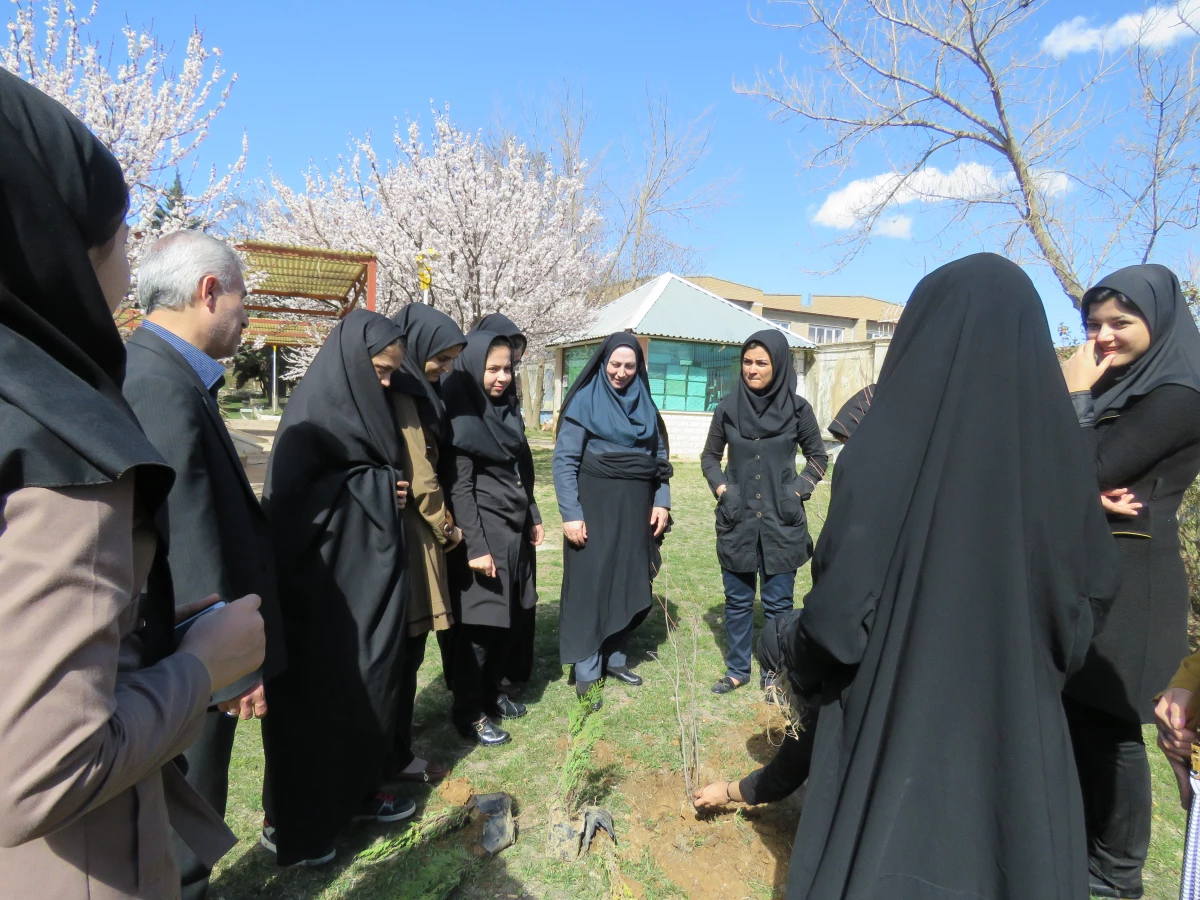 به همت کانون سلامت برگزار شد:
کاشت نهال به مناسبت نکوداشت هفته منابع طبیعی و روز درخت کاری 6