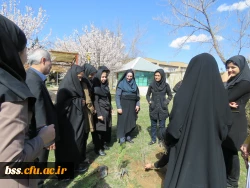 به همت کانون سلامت برگزار شد:
کاشت نهال به مناسبت نکوداشت هفته منابع طبیعی و روز درخت کاری 6