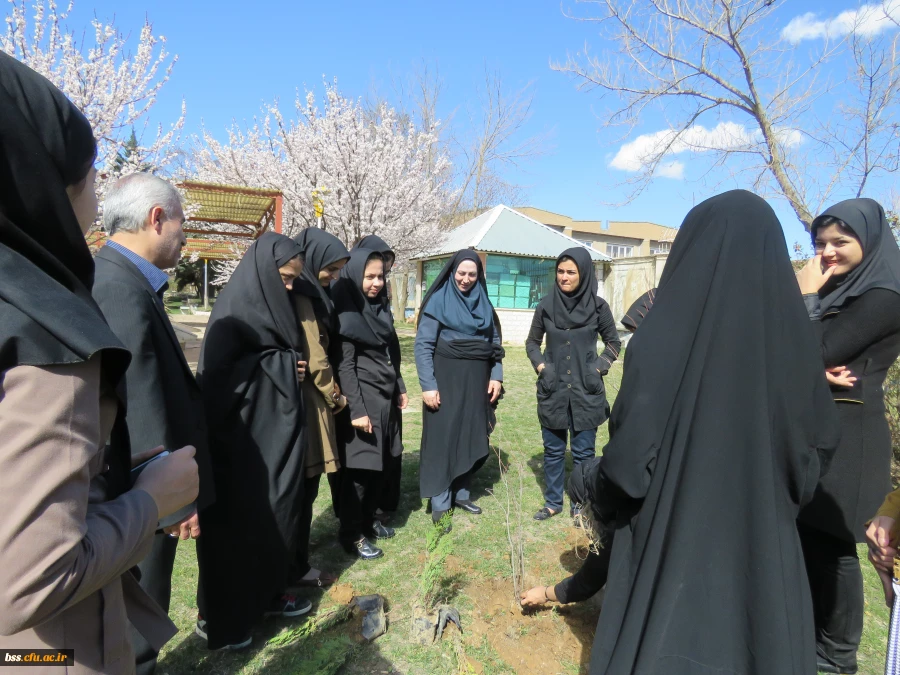 به همت کانون سلامت برگزار شد:
کاشت نهال به مناسبت نکوداشت هفته منابع طبیعی و روز درخت کاری 6