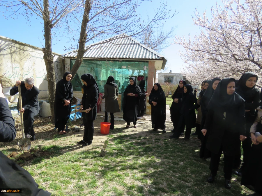 به همت کانون سلامت برگزار شد:
کاشت نهال به مناسبت نکوداشت هفته منابع طبیعی و روز درخت کاری 10