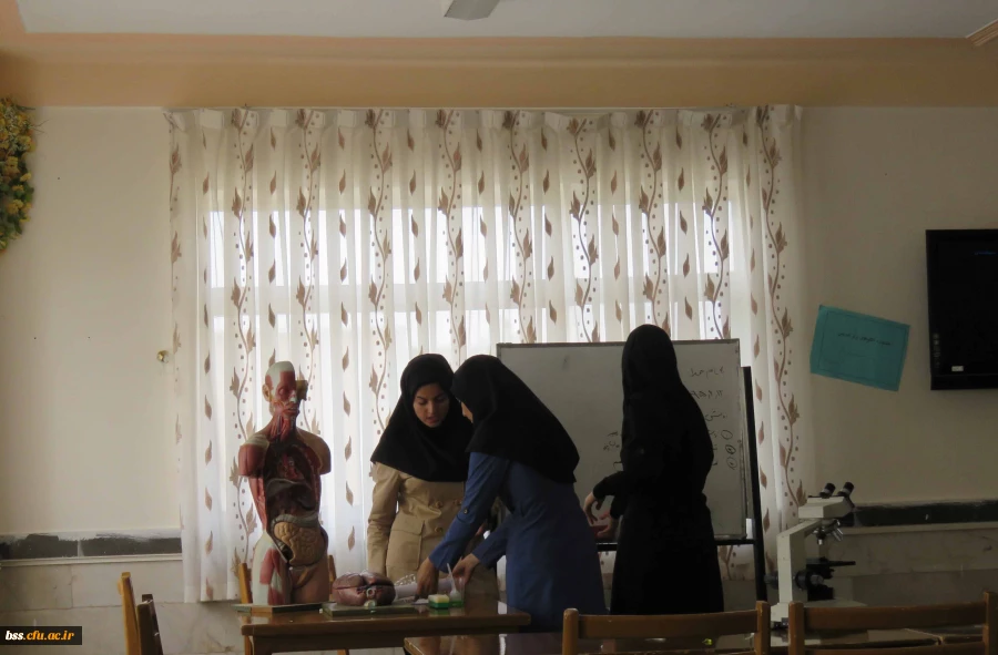 برگزاری جشنواره الگوهای برتر تدریس 10