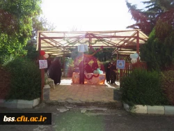 ایستگاه صلواتی 
بسیج دانشجویی به مناسبت اعیاد شعبانیه برگزار کرد 4