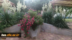 گلهای پردیس