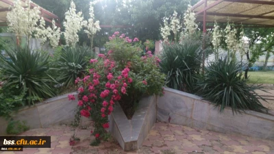 تصاویری از فضا و امکانات پردیس بنت الهدی صدر سنندج