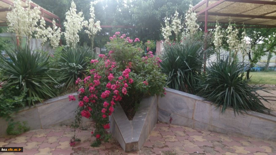 تصاویری از فضا و امکانات پردیس بنت الهدی صدر سنندج