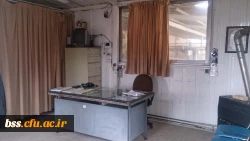 تصاویری از فضا و امکانات پردیس بنت الهدی صدر سنندج 13