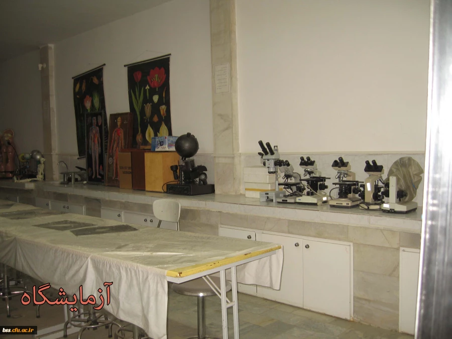 تصاویری از فضا و امکانات پردیس بنت الهدی صدر سنندج 39