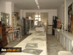 تصاویری از فضا و امکانات پردیس بنت الهدی صدر سنندج 40