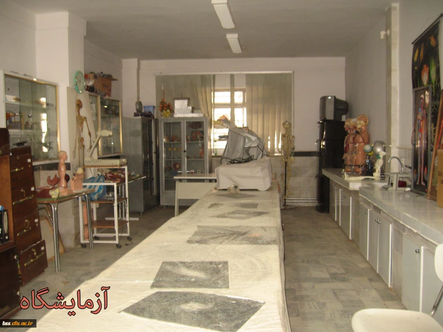 تصاویری از فضا و امکانات پردیس بنت الهدی صدر سنندج 40