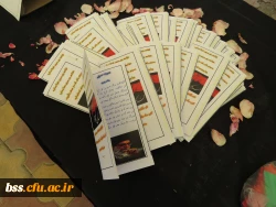 برگزاری ایستگاه صلواتی توسط هیئت فاطمیه با همکاری کانون سبک زندگی اسلامی 7