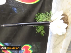 برگزاری ایستگاه صلواتی توسط هیئت فاطمیه با همکاری کانون سبک زندگی اسلامی 8