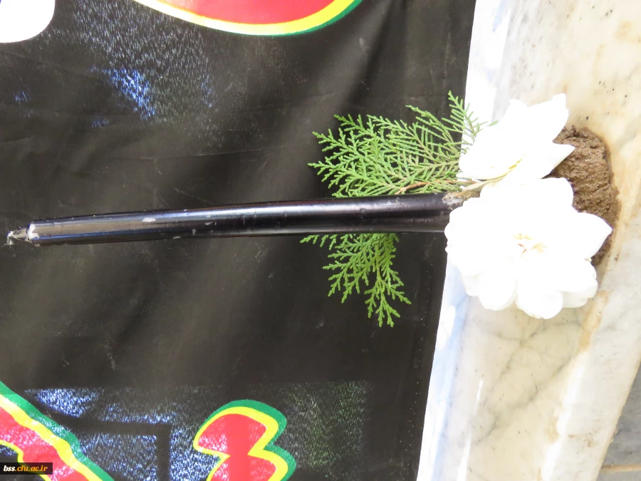 برگزاری ایستگاه صلواتی توسط هیئت فاطمیه با همکاری کانون سبک زندگی اسلامی 8