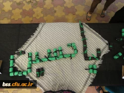 برگزاری ایستگاه صلواتی توسط هیئت فاطمیه با همکاری کانون سبک زندگی اسلامی 9