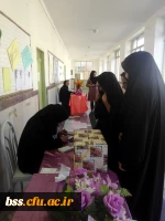 انتخابات شورای صنفی انجمن های ورزشی برگزار شد 3