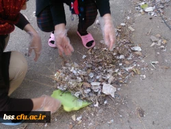 پاکسازی فضای سبز و محوطه پردیس به مناسبت روز هوای پاک 4