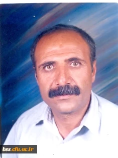 زاله