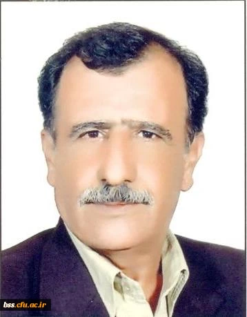 سنگین آبادی