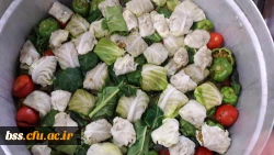 برگزاری جشن شب یلدا درخوابگاه با حضور دکتر ظهیری 4