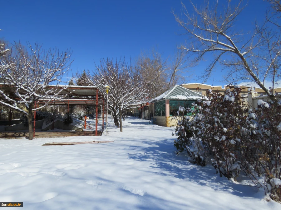 زمستان در پردیس